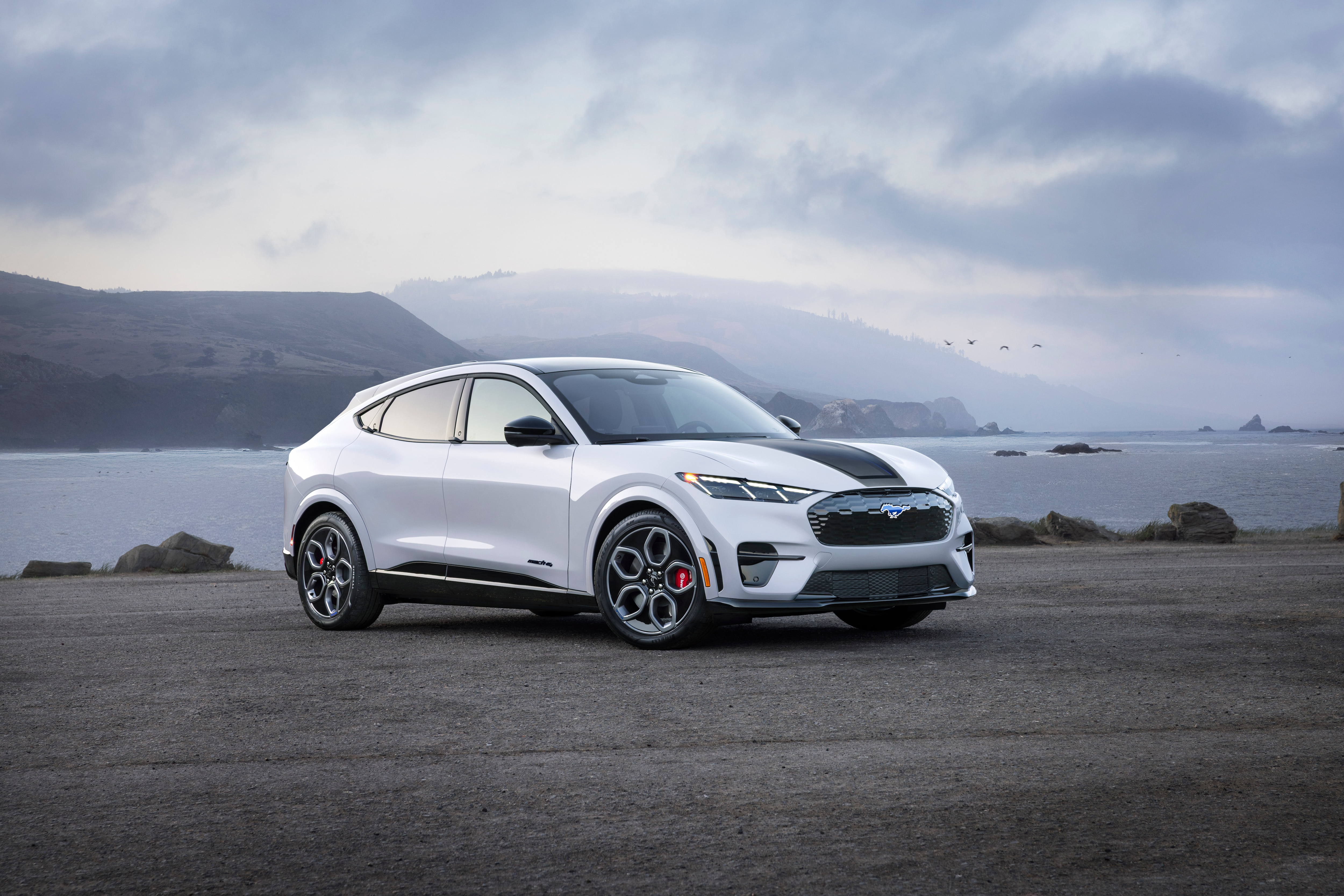 A white Mustang Mach-E parked on the beach in front of a cloudy coastline.